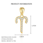 S925 Sterling Silver Zircon Zodiac Pendant