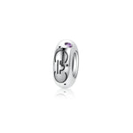 S925 Sterling Silver 12 Constellation Zircon Spacer Beads Pendant