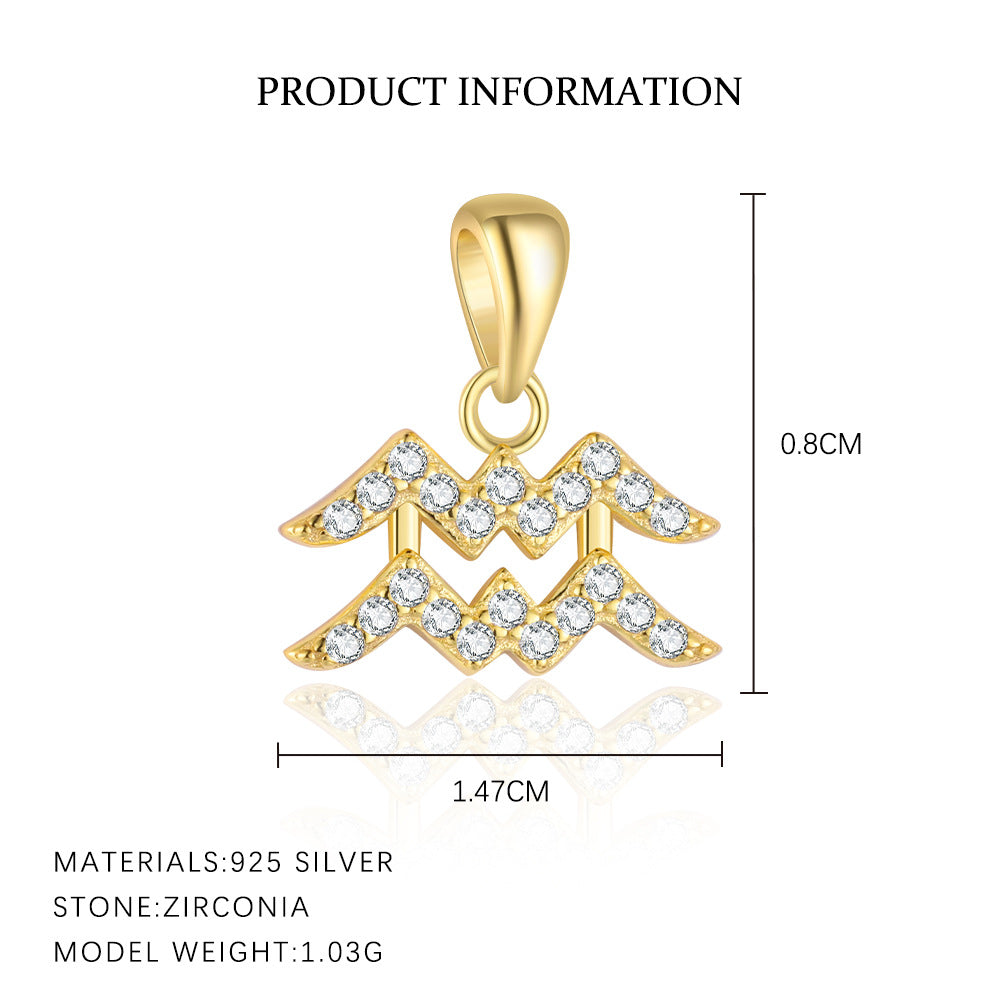 S925 Sterling Silver Zircon Zodiac Pendant