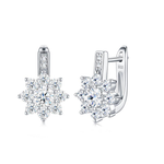 S925 Silver Moissanite Earrings – Sweet Style