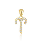 S925 Sterling Silver Zircon Zodiac Pendant