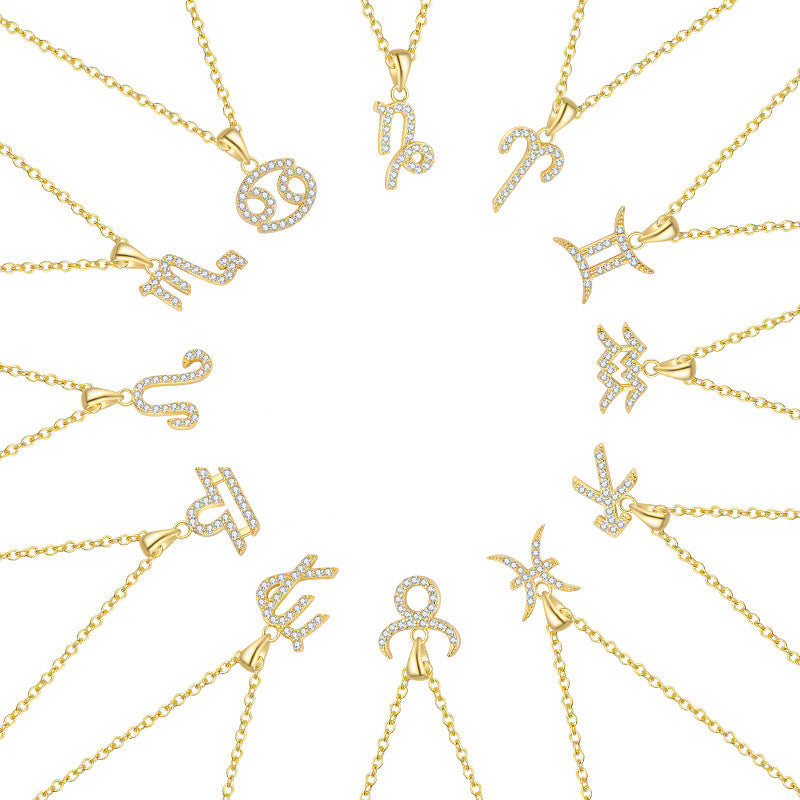 S925 Sterling Silver Zircon Zodiac Pendant