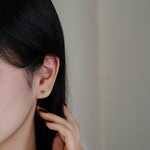 S925 Sterling Silver Colorful Zircon Stud Earrings