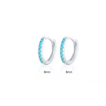 925 Sterling Silver & Zircon Hoop Earrings (men and women)