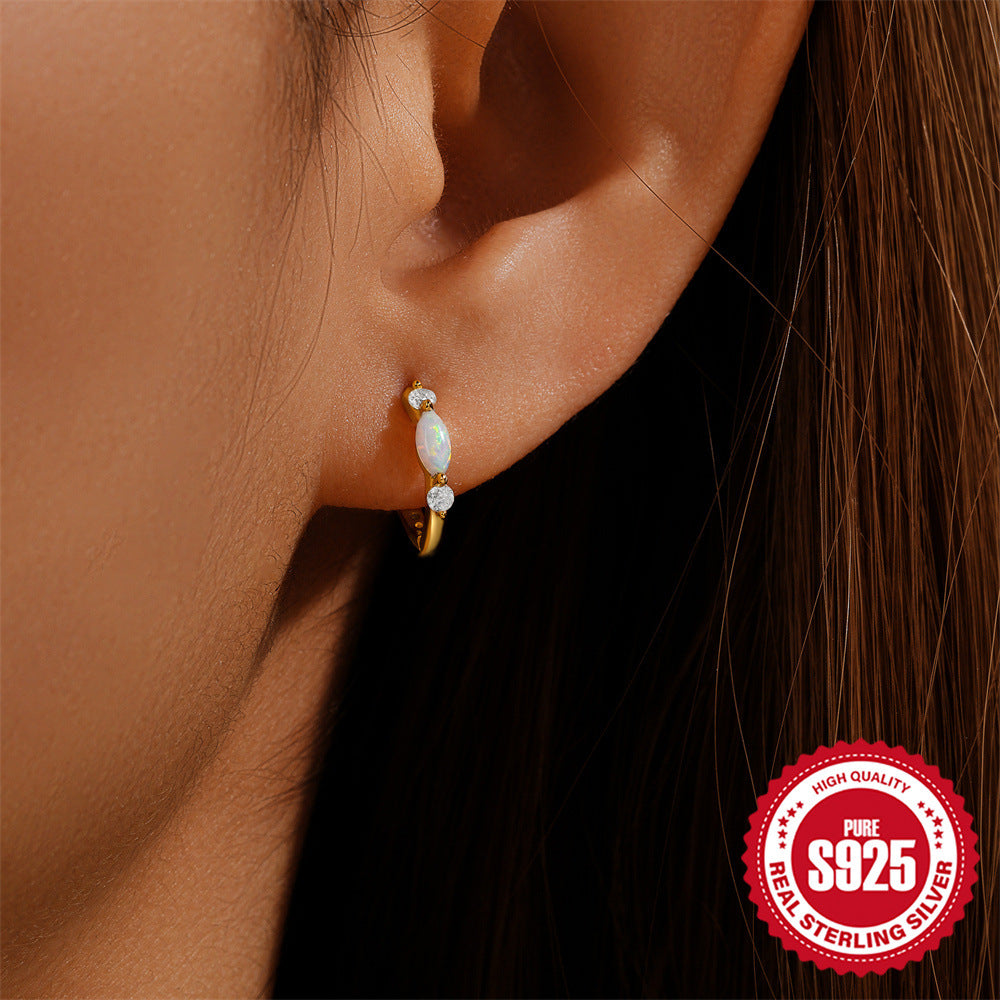 S925 Sterling Silver Round Hoop Earrings with Zircon and Opal Inlay