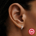 S925 Sterling Silver Moissanite Smooth-Finish Earrings(Single unit)