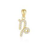 S925 Sterling Silver Zircon Zodiac Pendant