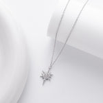 S925 Sterling Silver Zircon Star Necklace