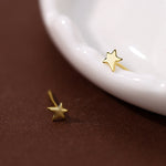 S925 Sterling Silver Stud Earrings